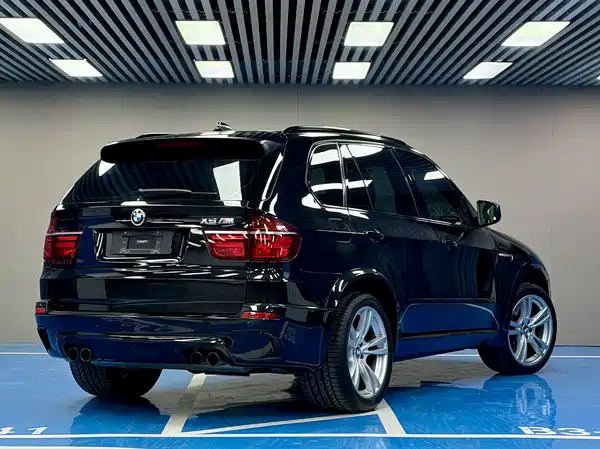 BMW X5 M 2010