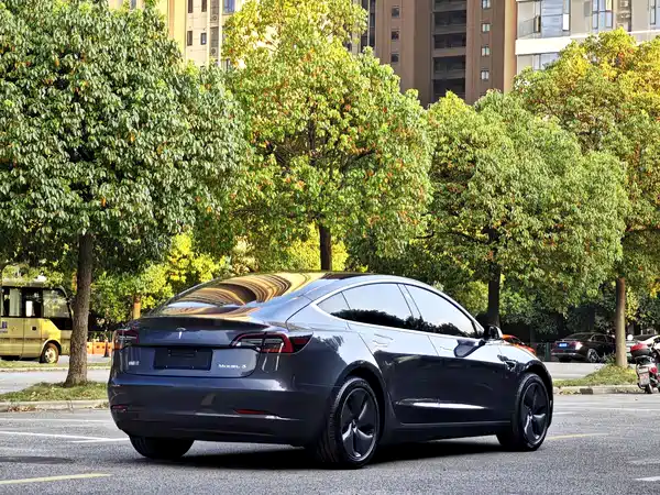 Tesla Model 3 2020