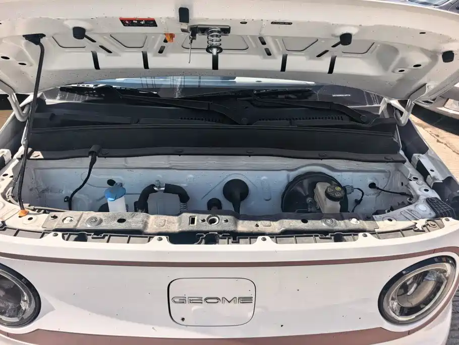 Geely Galaxy Panda 2024 — фото 10