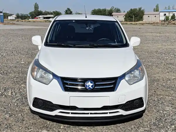 Venucia R50 2016