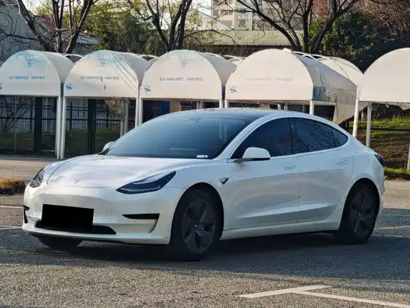 Tesla Model 3 2020