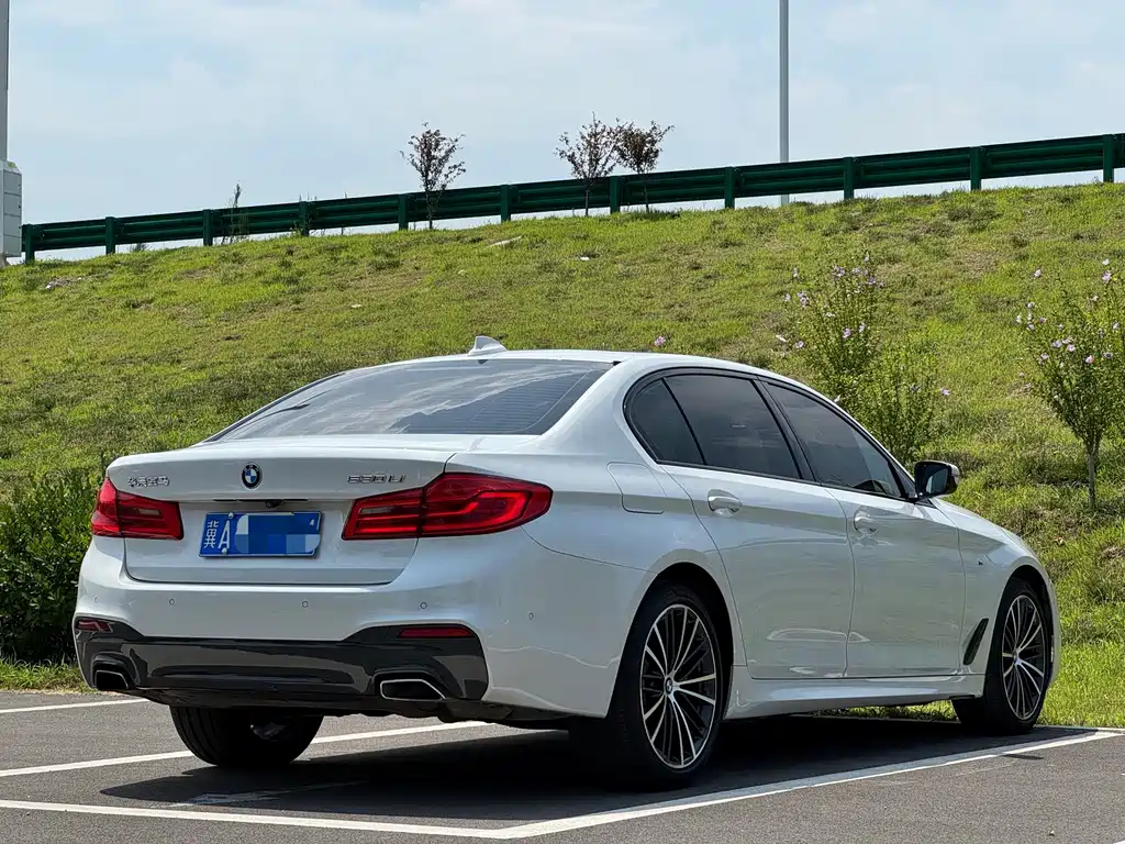 BMW 5 Series 2019 — фото 13