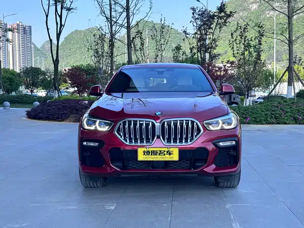 BMW X6 2021