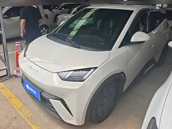 BYD Seagull 2024