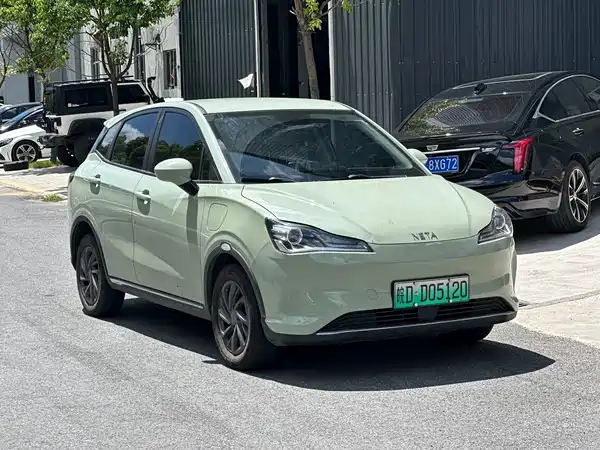 Neta V 2022
