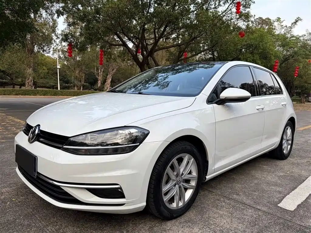 Volkswagen Golf 2019 — фото 1