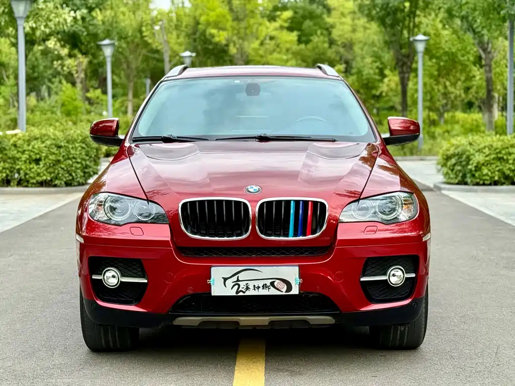 BMW X6 2010 — фото 3