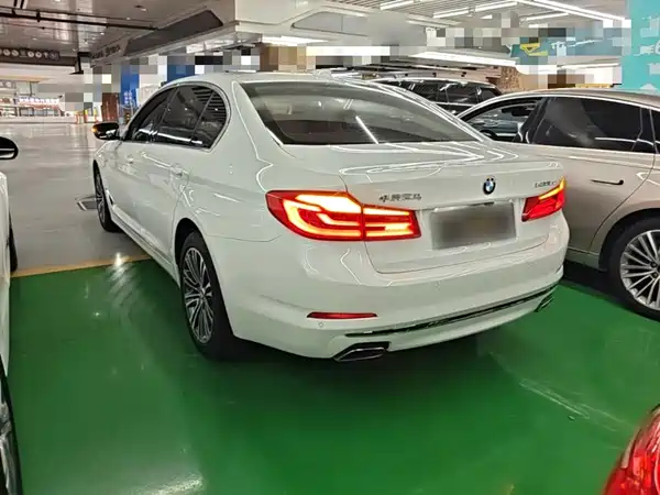 BMW 5 Series New Energy 2020