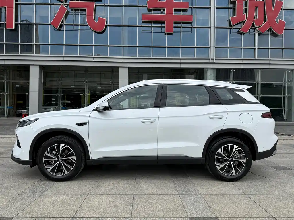BYD Pro New Energy 2025 — фото 3