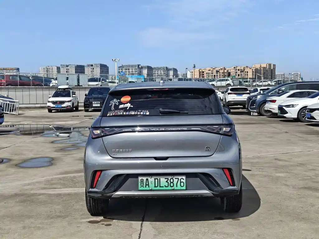 BYD Dolphin 2024