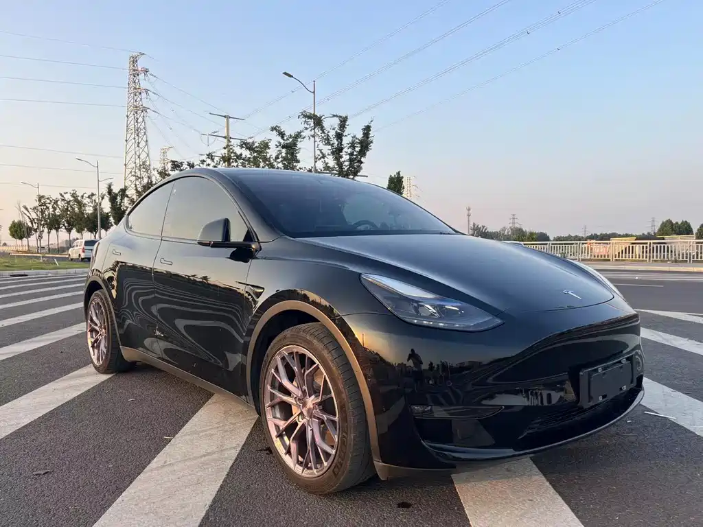 Tesla Model Y 2021 — фото 3