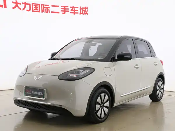 Wuling Bingo 2024