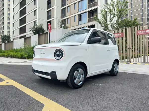 Geely Galaxy Panda 2024