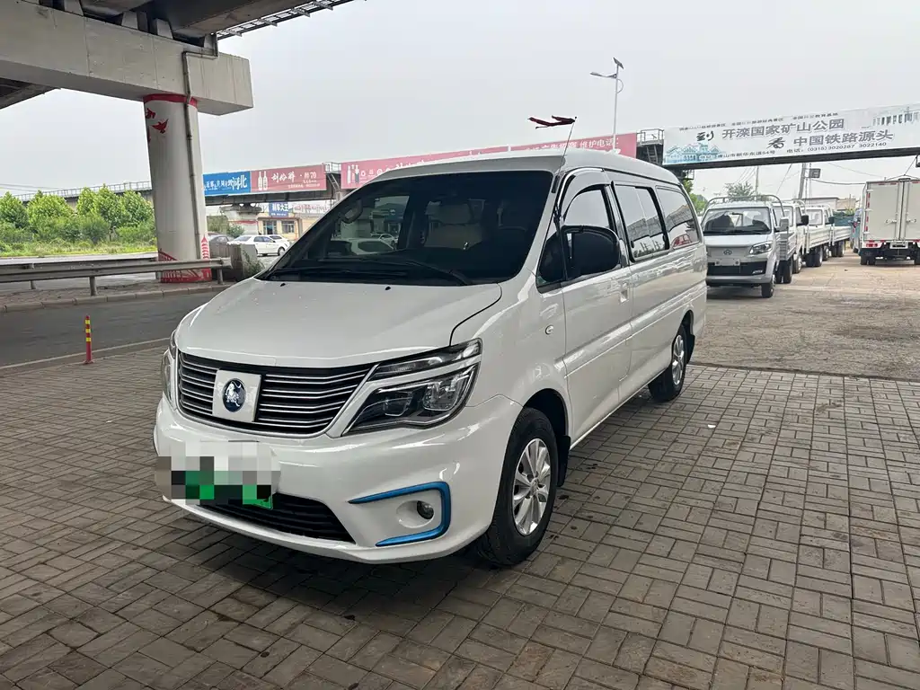 Fengxing Lingzhi New Energy 2020