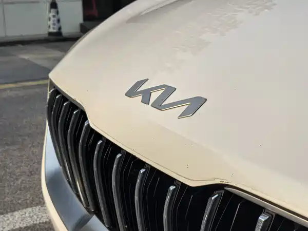 Kia K3 New Energy 2019
