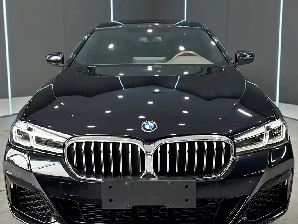 BMW 5 Series New Energy 2021 — фото 2