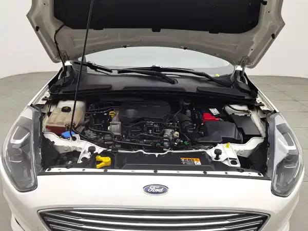 Ford Escort 2019