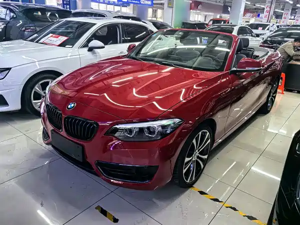BMW 2 Series 2019