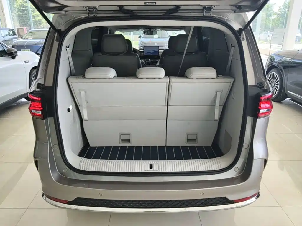 Roewe iMAX8 New Energy 2025 — фото 19