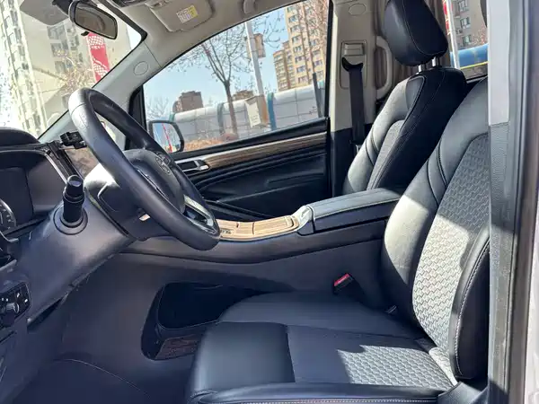 GAC Trumpchi M8 2021