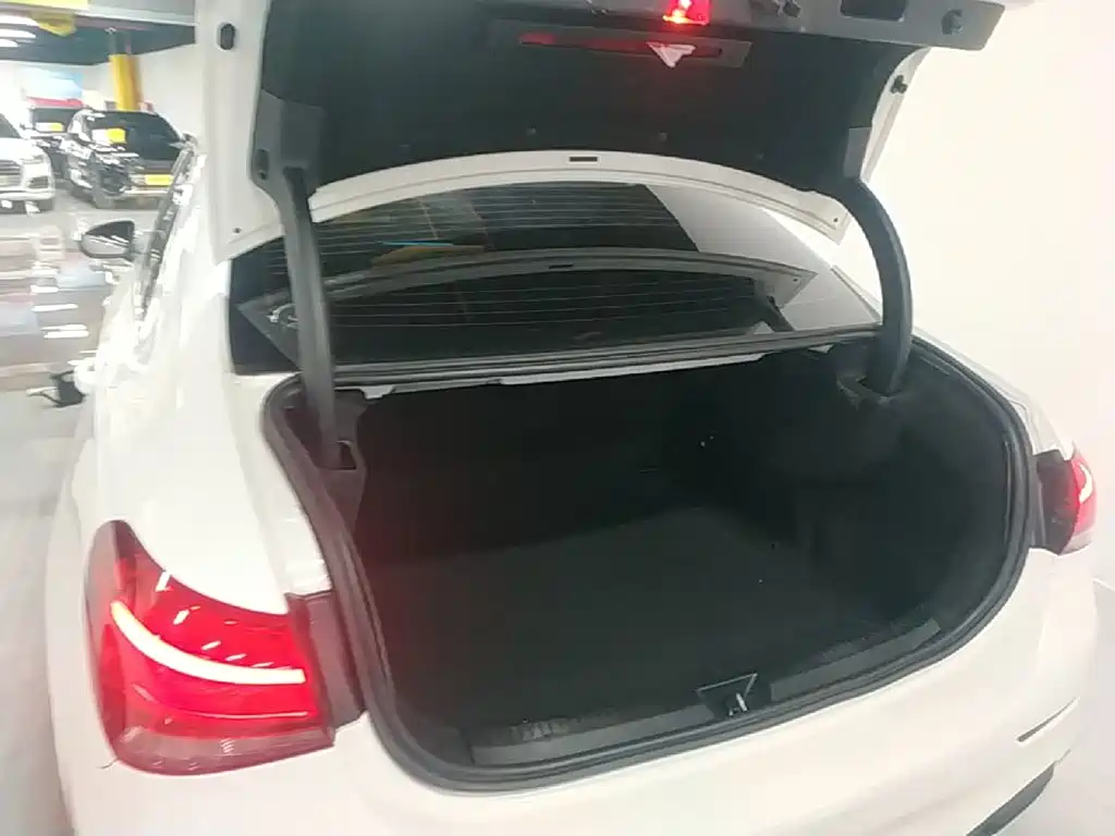 Mercedes-Benz A-Class 2019 — фото 19