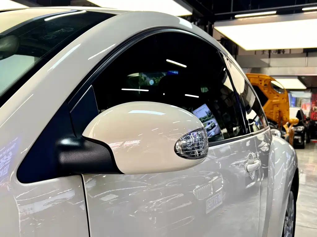 Volkswagen Beetle 2010