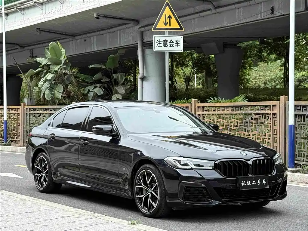 BMW 5 Series 2021 — фото 11