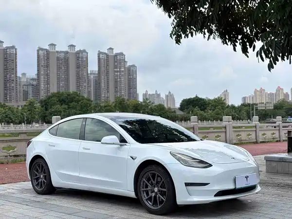 Tesla Model 3 2019