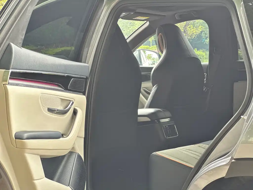BYD PLUS New Energy 2022 — фото 16