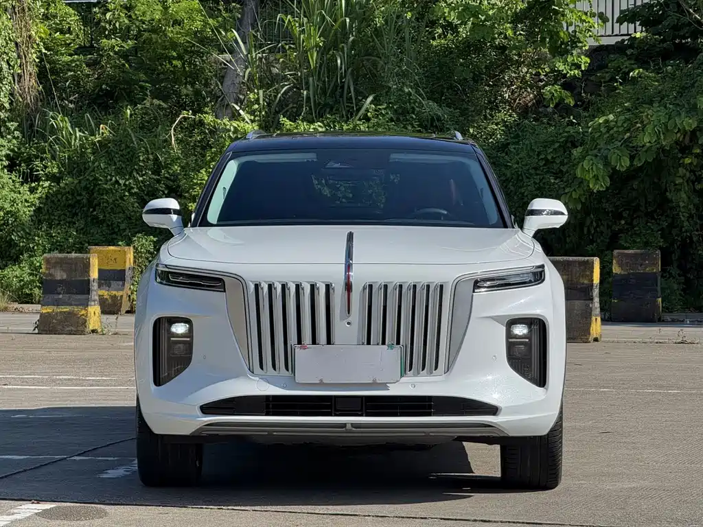 Hongqi E-HS9 2023