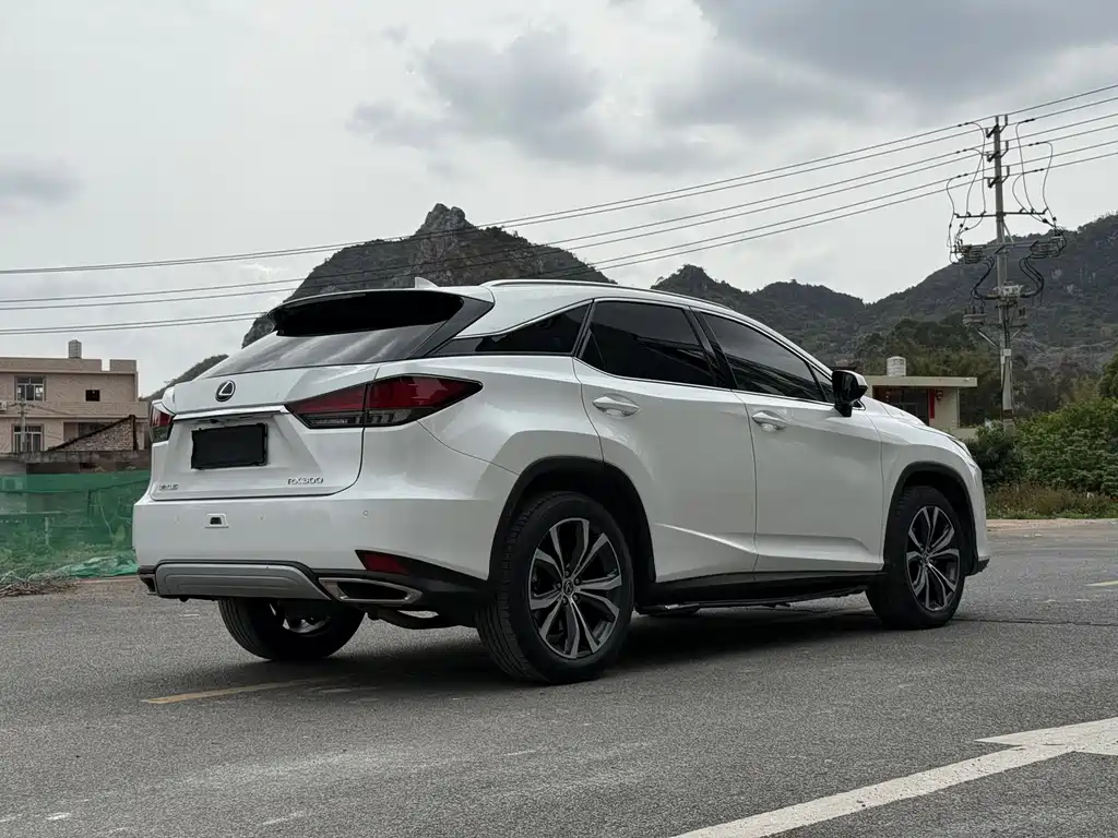 Lexus RX 2020 — фото 20