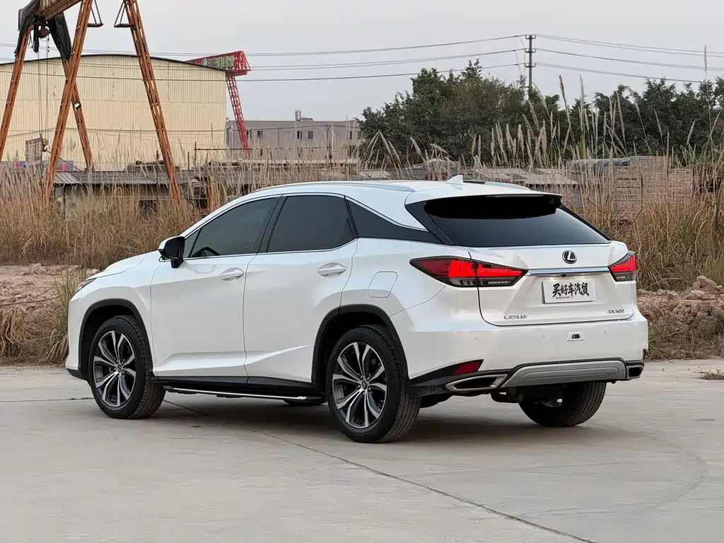 Lexus RX 2022 — фото 11