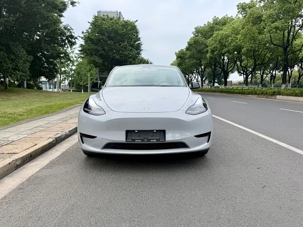 Tesla Model Y 2023 — фото 2