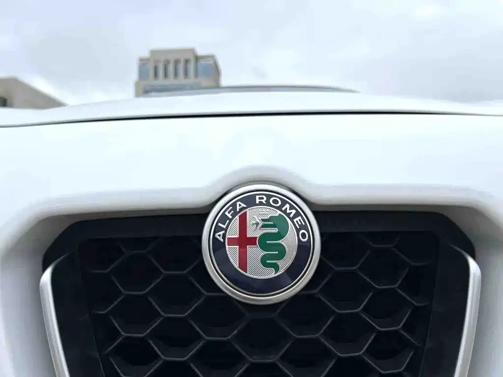 Alfa Romeo Stelvio 2019 — фото 12