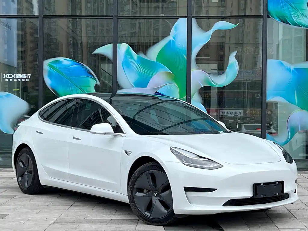 Tesla Model 3 2020 — фото 3