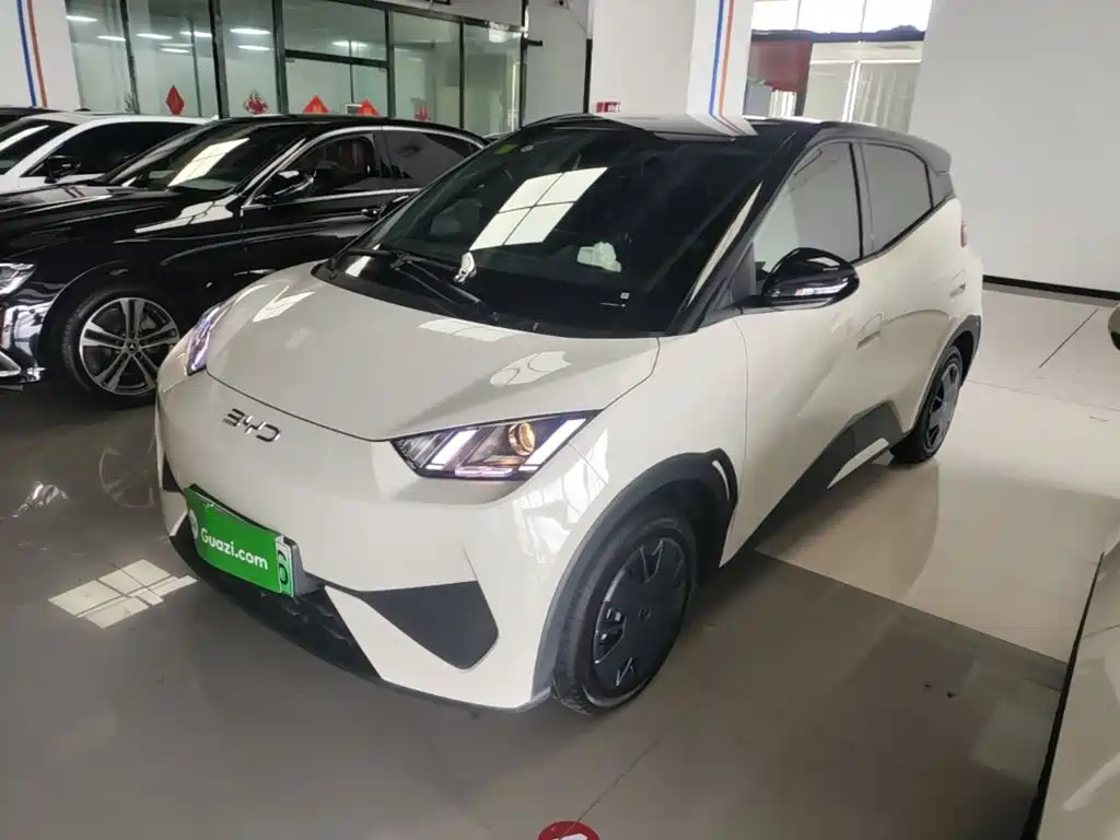 BYD Seagull 2025