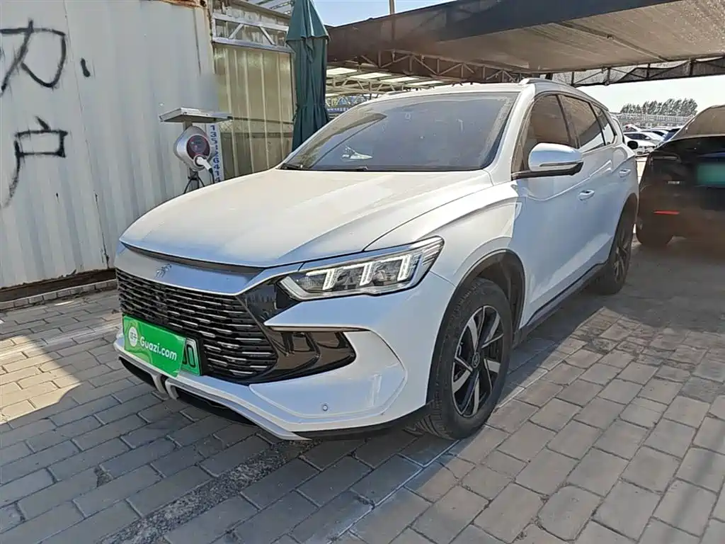 BYD Pro New Energy 2024 — фото 2