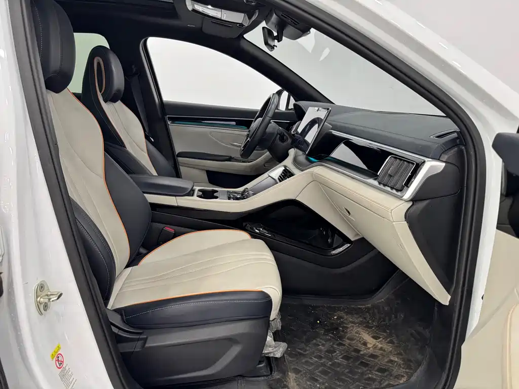 BYD Song PLUS New Energy 2023 — фото 11