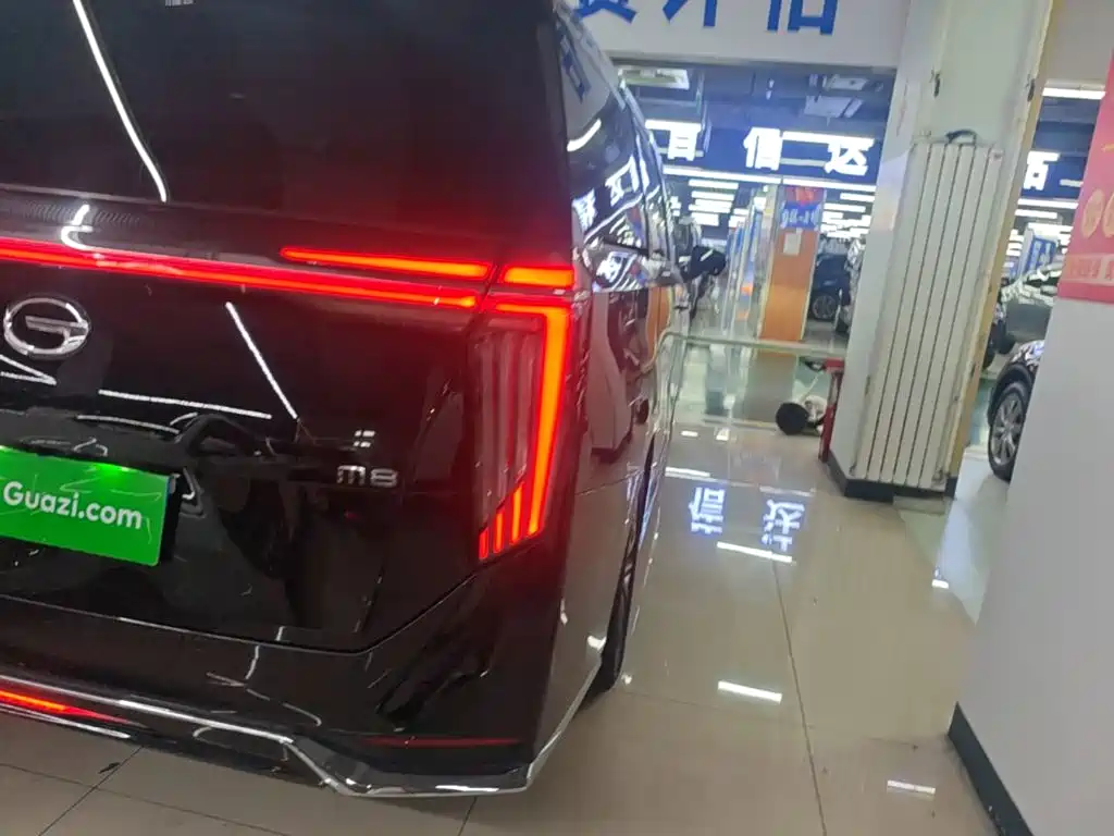 GAC Motor Trumpchi M8 2023 — фото 8