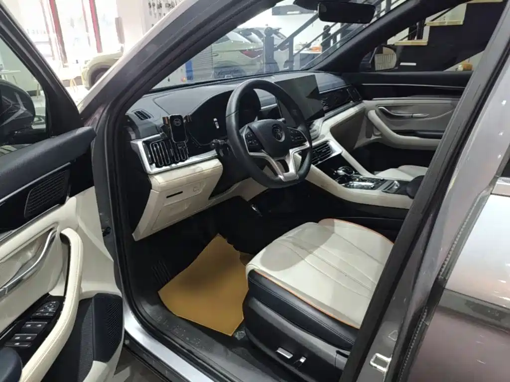 BYD PLUS New Energy 2021 — фото 16