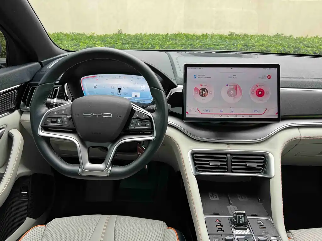 BYD PLUS New Energy 2023 — фото 16