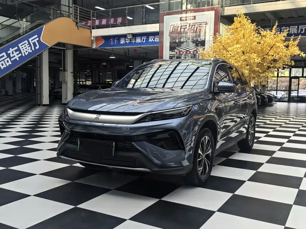 BYD Pro New Energy 2025 — фото 1