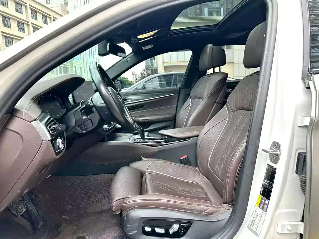 BMW 5 Series New Energy 2020
