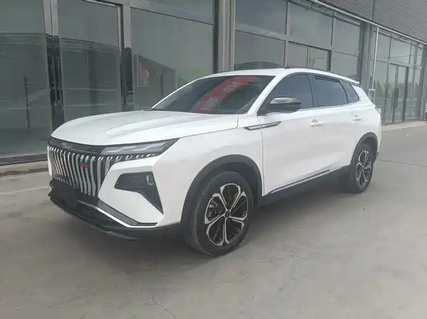 Dongfeng Haoji 2024