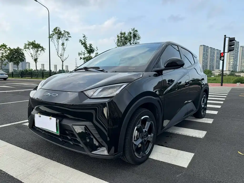 BYD Seagull 2023 — фото 2