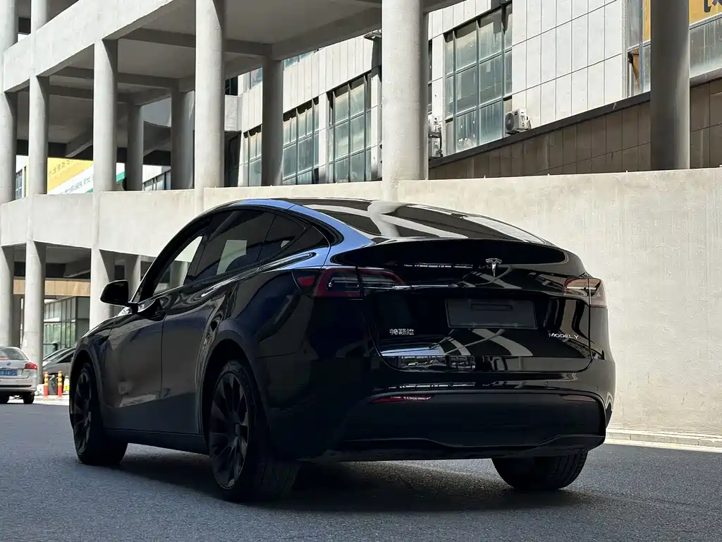 Tesla Model Y 2021 — фото 6