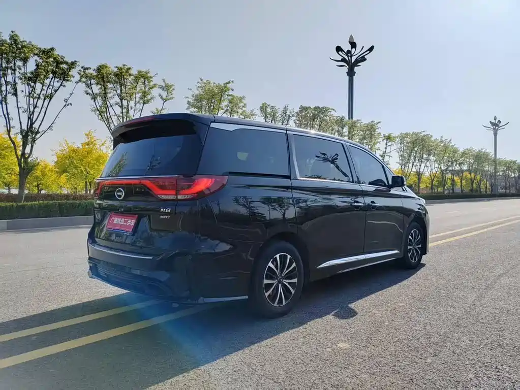GAC Motor Trumpchi M8 2021 — фото 11