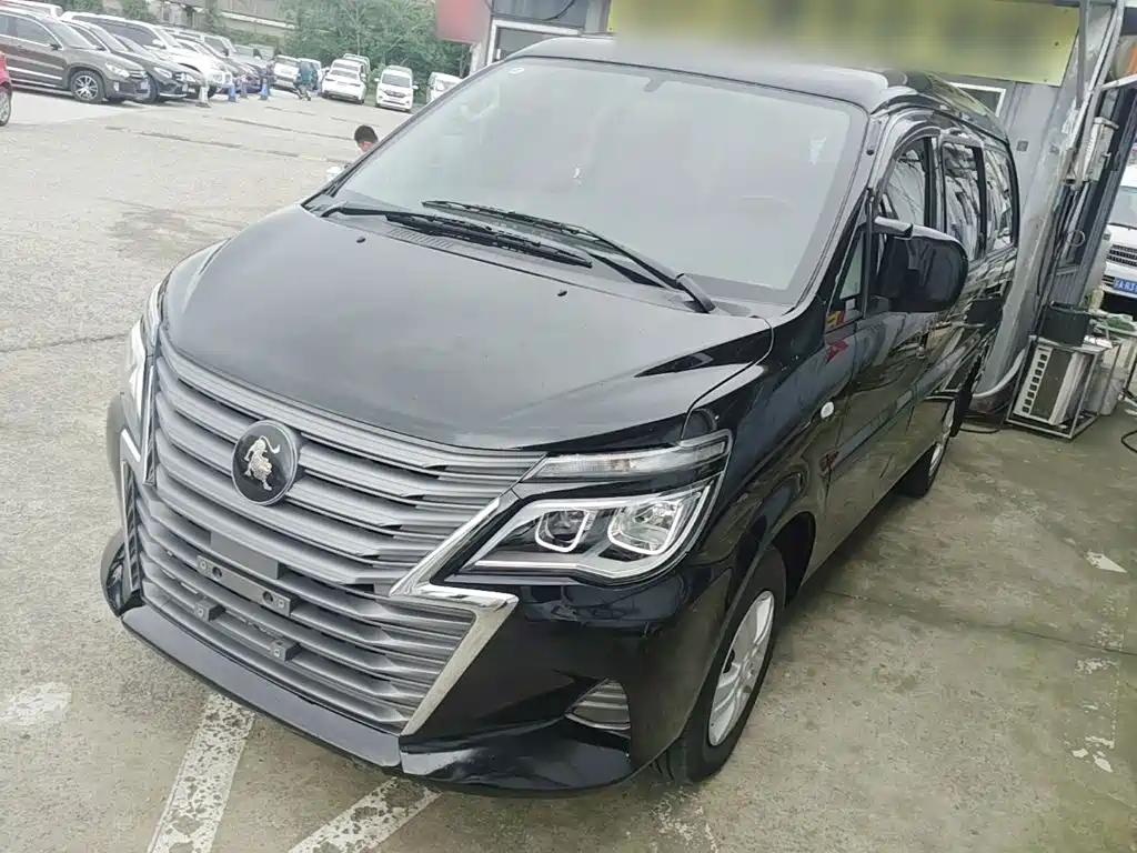 Fengxing Lingzhi 2024