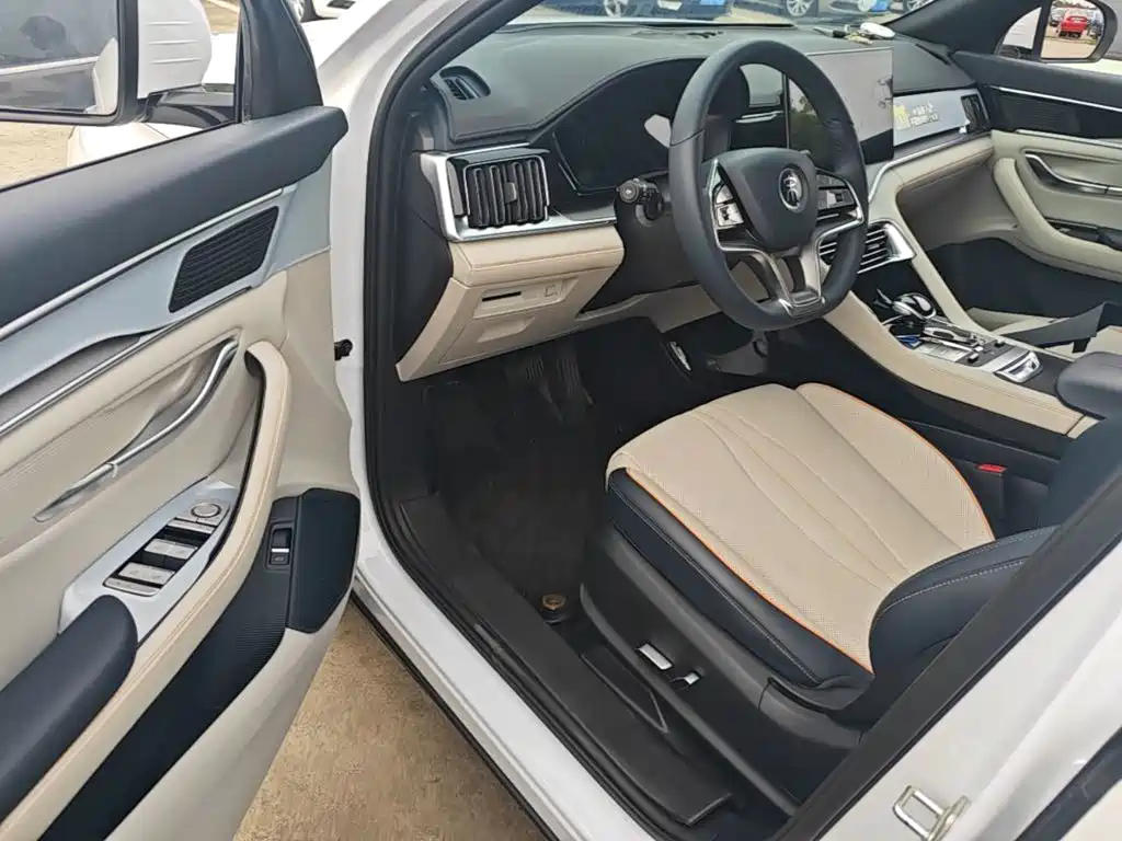 BYD PLUS New Energy 2022 — фото 16