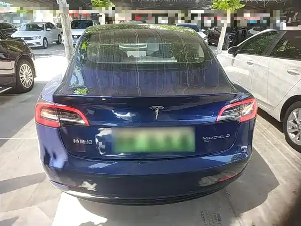 Tesla Model 3 2019
